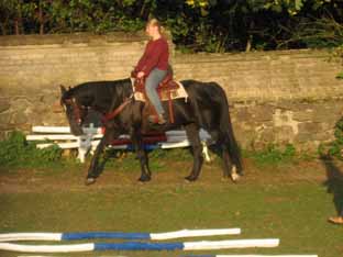 Ebony auf dem Reitplatz