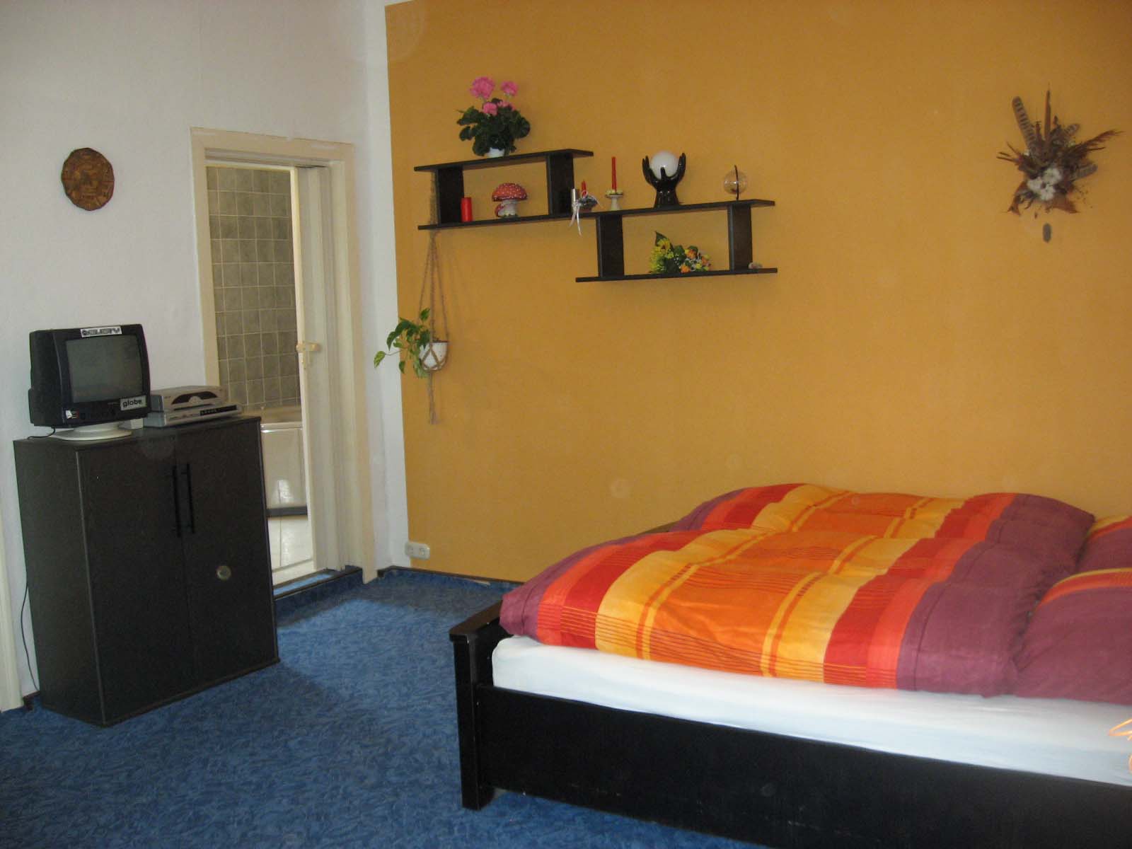 Ferienwohnung - Fernseher