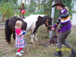 Pferd Monti von Kind geputzt